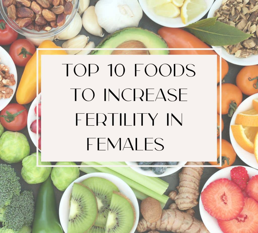 Foods to Increase Fertility in Females