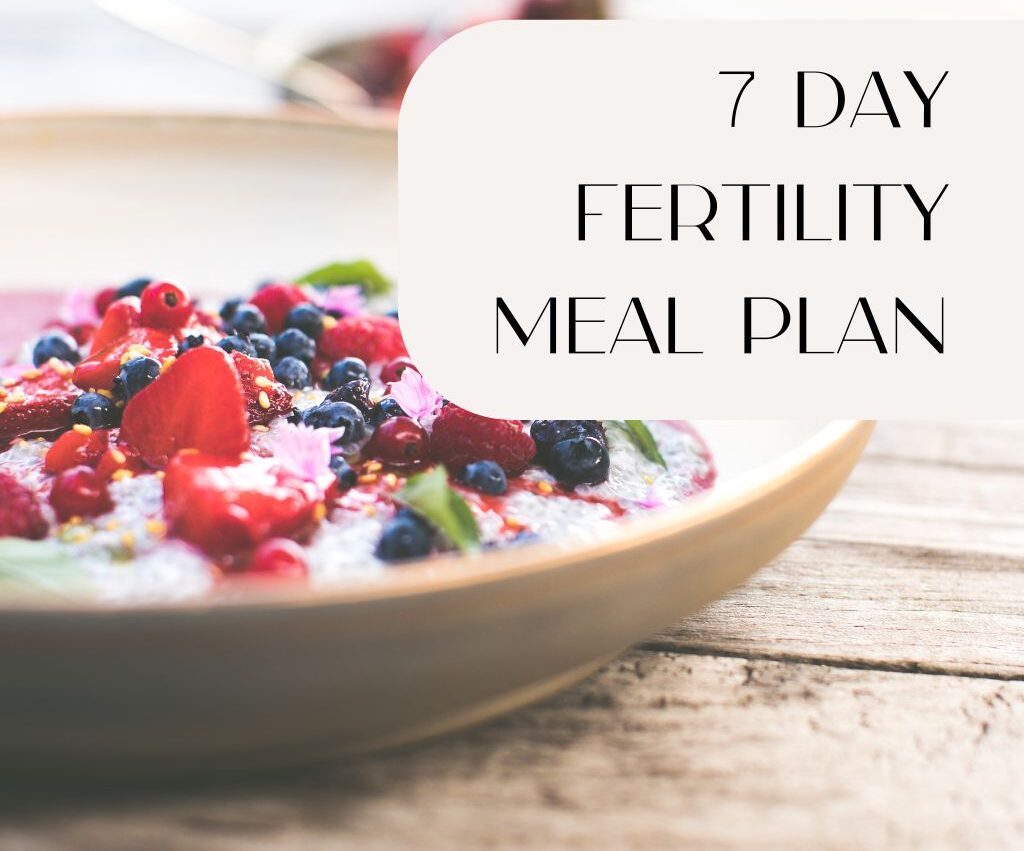 7 Day Fertility Meal Plan