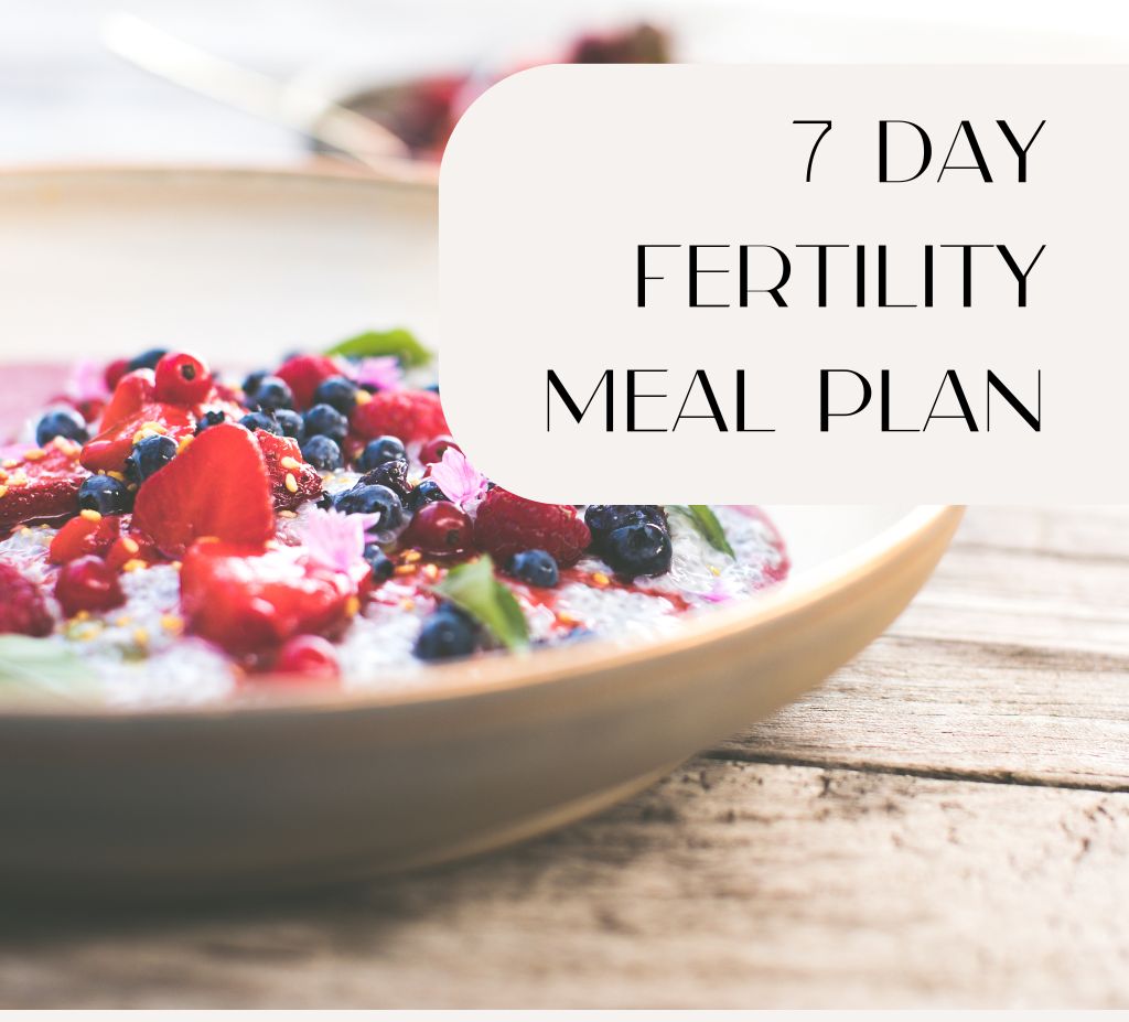 7 Day Fertility Meal Plan
