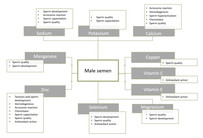 Nutrients of Sperm