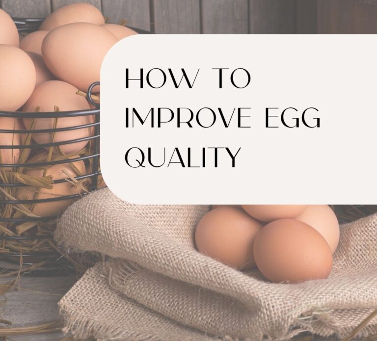 Fertility Dietitian Fertility Nutritionist greens