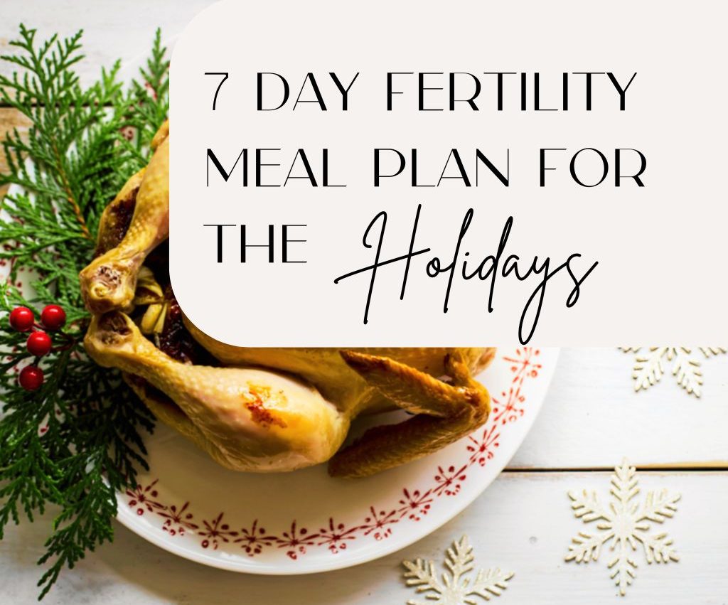 7 day Fertility Meal Plan for the Holidays